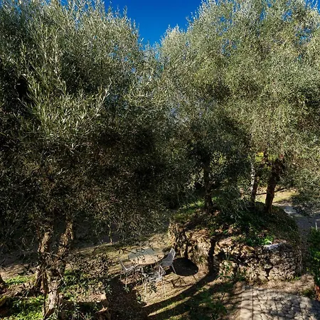 Montechiaro סיינה
